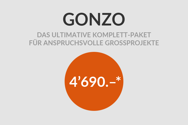 Webdesign GONZO